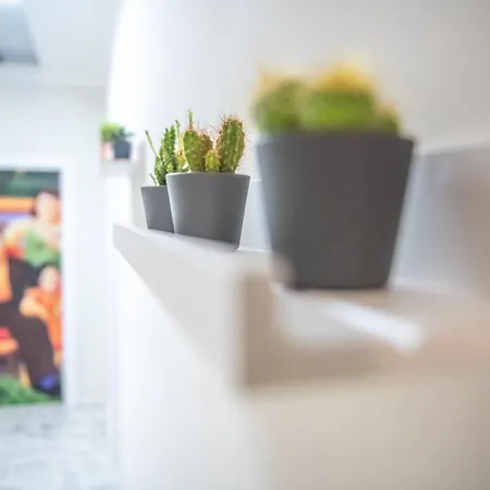 Boteroom Bed and breakfast Cassino